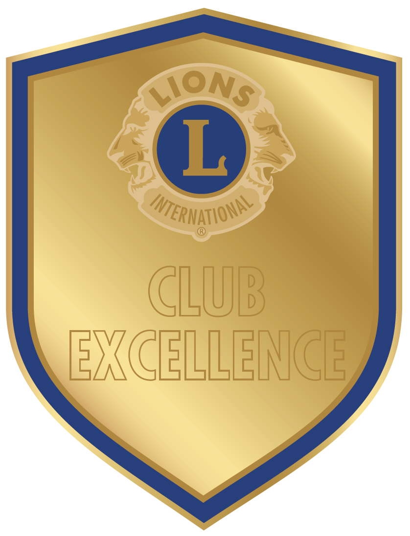 Club Excellence Award Pin