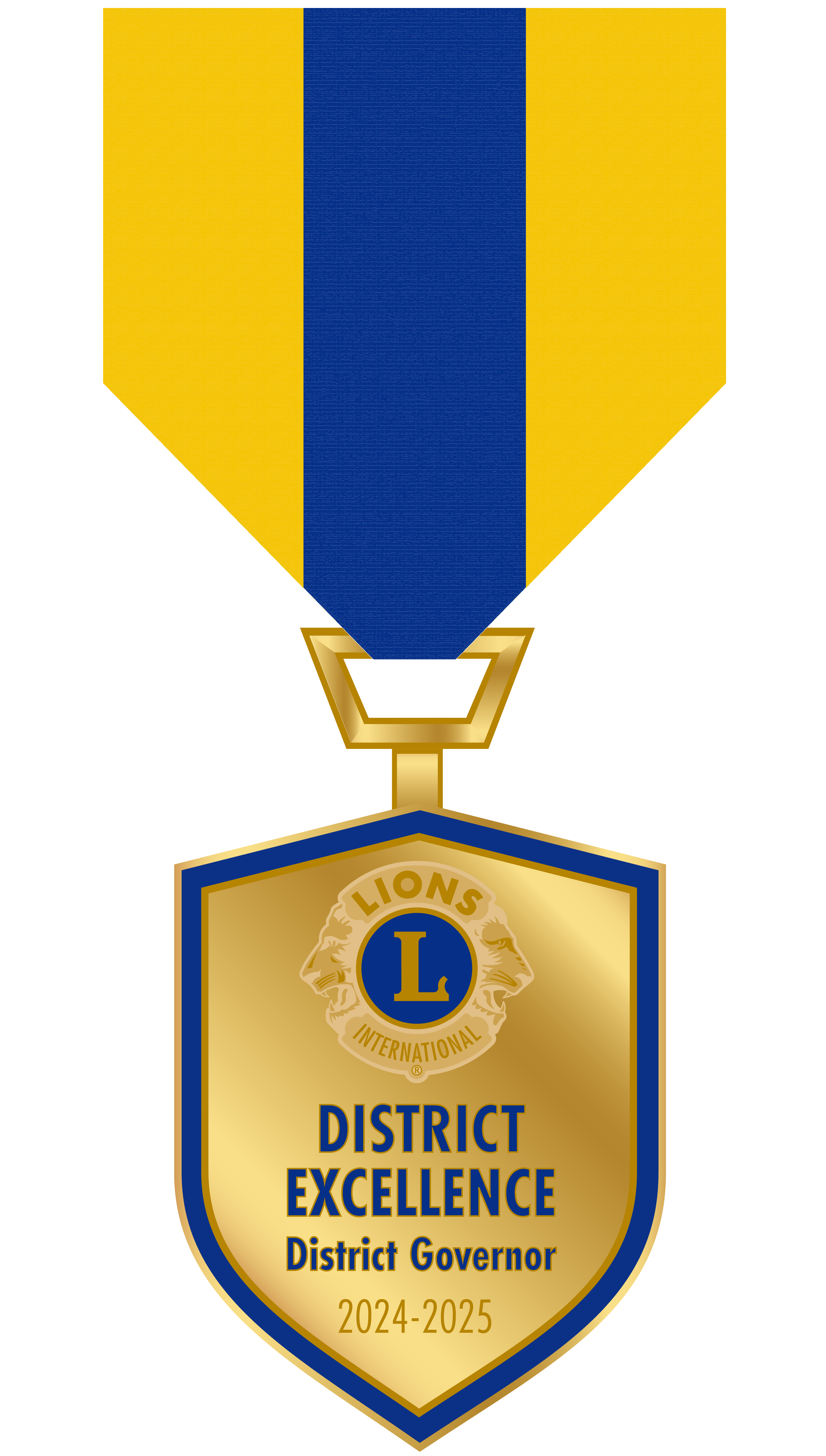 District Excellence Award Medal